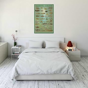 Scorpio Posters Fresh Water Game Fish Poster - 24 x 36