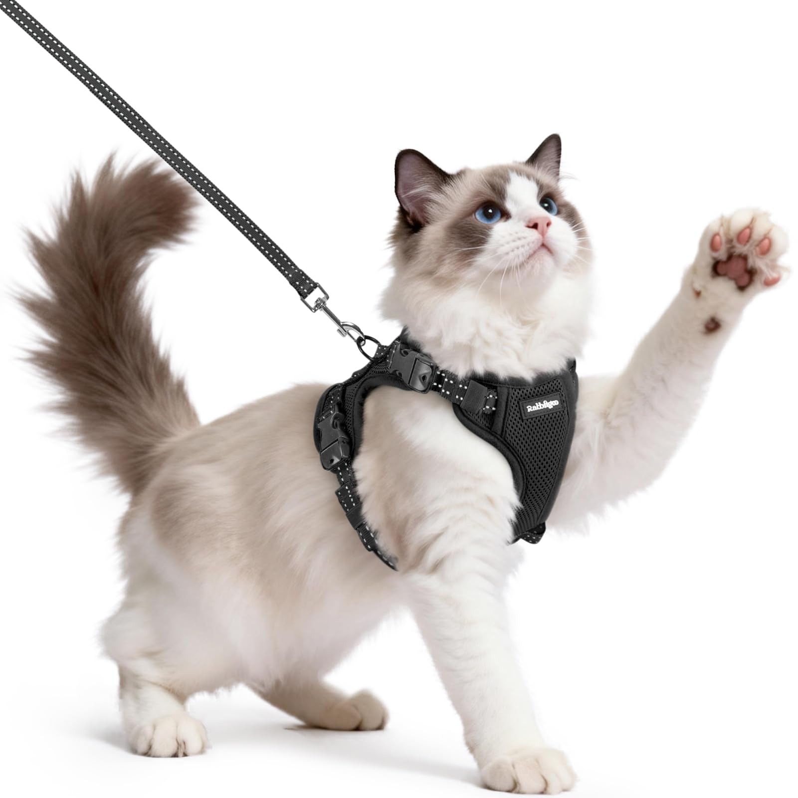 rabbitgoo Cat Harness and Leash, Escape Proof Vest with 3 Adjustable Buckles, Soft Comfortable Kitten Harness, Easy to Wear, Reflective for Safe Outdoor Walking, Medium, Black - 1