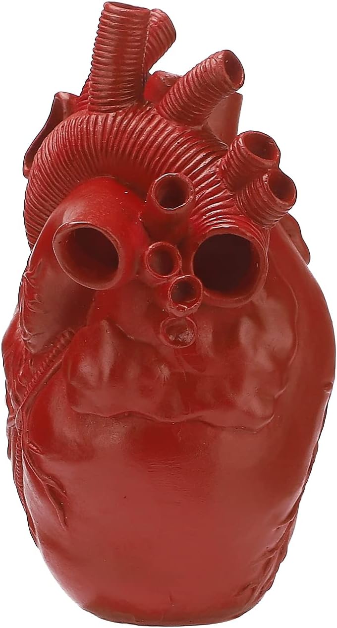 Anatomical Heart Vase for Flowers, Resin Heart Shape Vase for Table Centerpieces