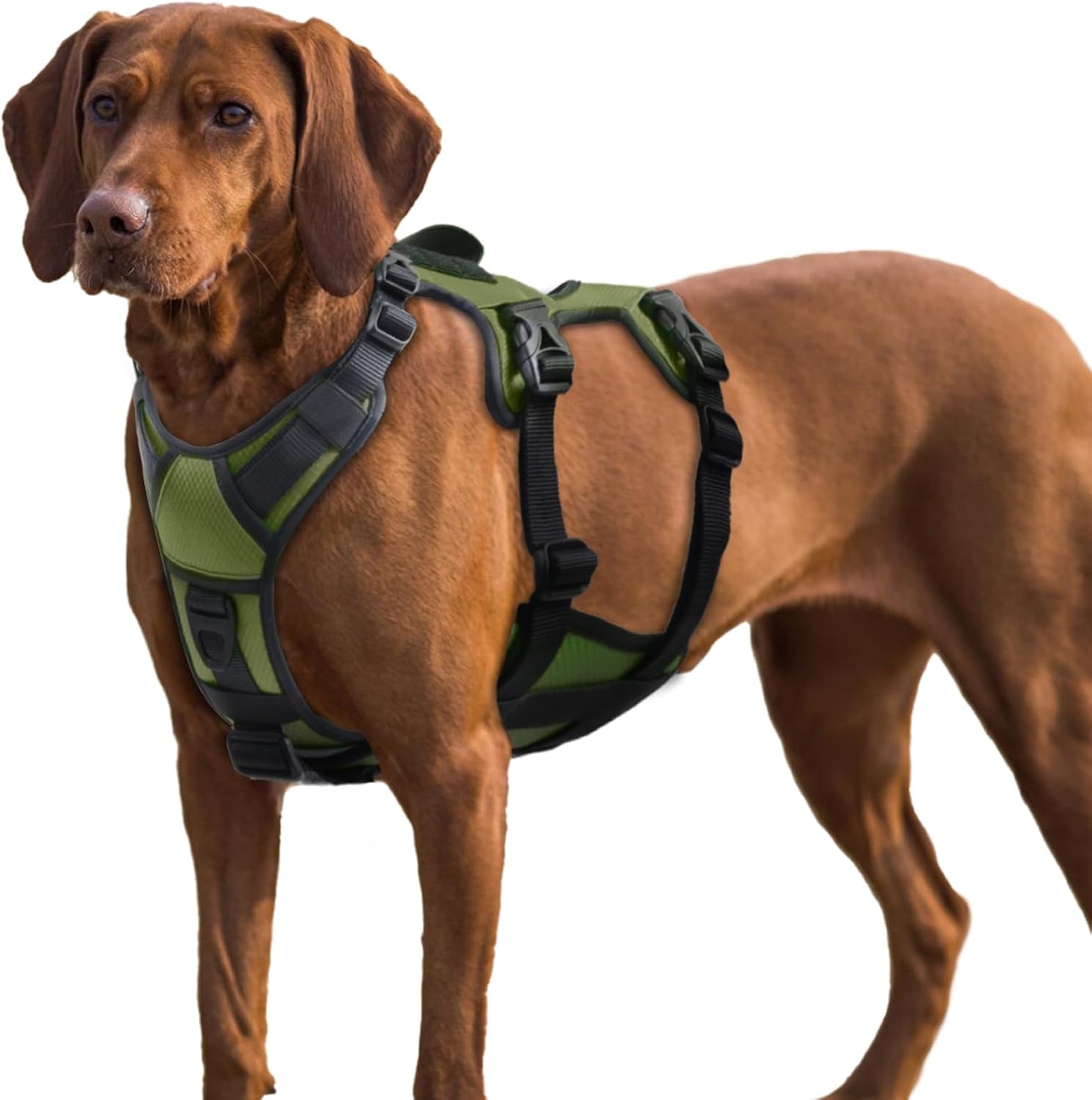 AUROTH Dog Harness, Escape Proof Dog Harness for Large