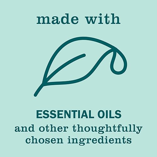 Miniatura 6 de Mrs. Meyer's Clean Day's - Ambientador en aerosol, refresca al instante el aire con aroma a menta, 8 onzas (paquete de 6)