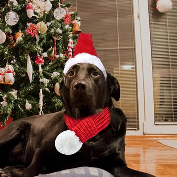 Set de Gorro y Bufanda Navideño para Perro ANIAC - Talla L miniatura 3