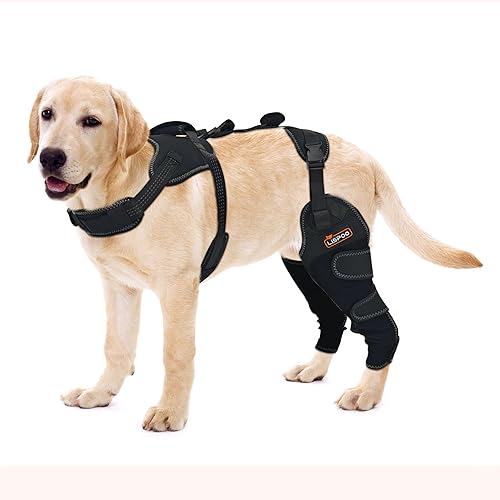 Rodillera de pierna trasera para perro, soporte de pierna trasera ACL para artritis leve, rodillera de perro de luxación rotuliana, equipo de