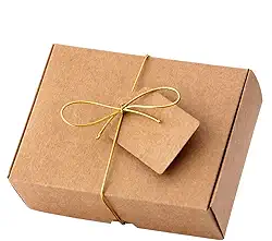 Caixa Papel 9x12x4cm Lembrancinha Docinho Kraft 25un - CXTAG041K25