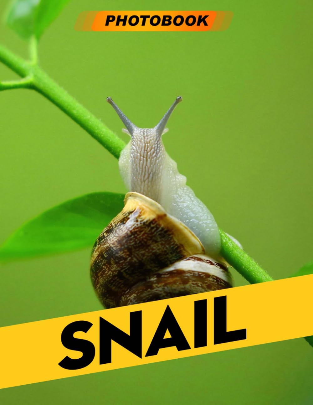 Snail Photo Book: Delicate Snail Photography Featuring Tiny Shell-Bearing Creatures In Elegant Garden Scenes For Slow-Paced Relaxation And Nature Enthusiasts