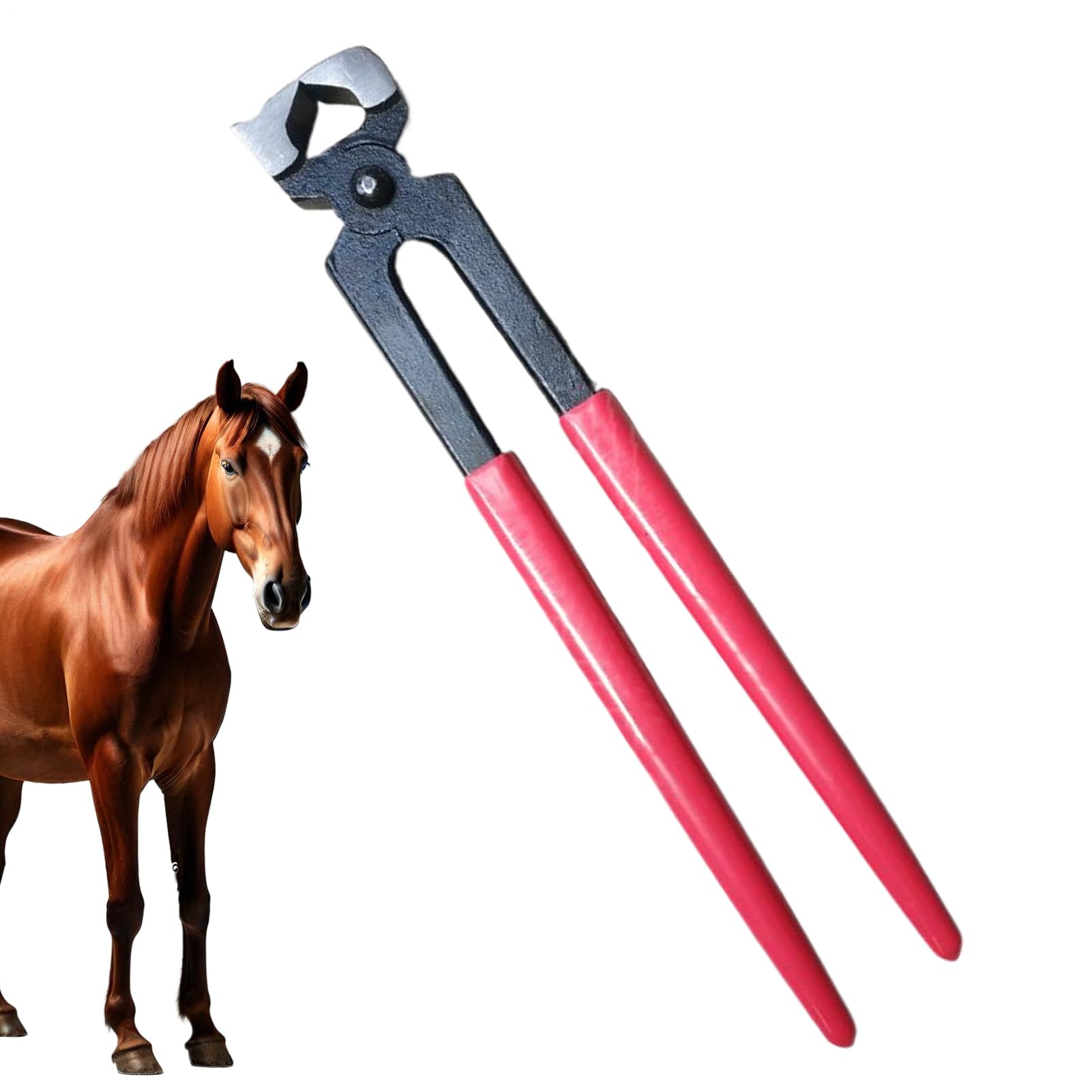 Tenaglie Da Zoccolo Per Utensili Di Precisione Per Maniscalchi | Cesoe per Unghie Ovini Per Manutenzione Rifinitura Ferratura Per Stalla Fattoria Ranch E Attività Equestri