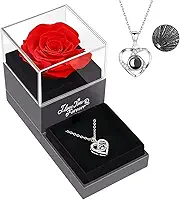 Kit Presente Rosa Eterna Com Colar Eu Te Amo 100 Idiomas Caixa De Luxo E Sacola