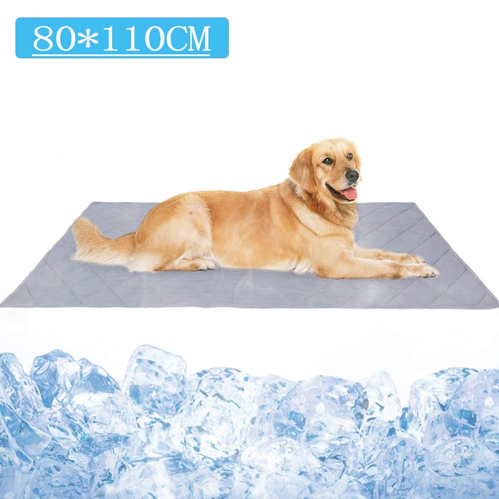 Tapis de refroidissement chien Golden Retriever contre la canicule