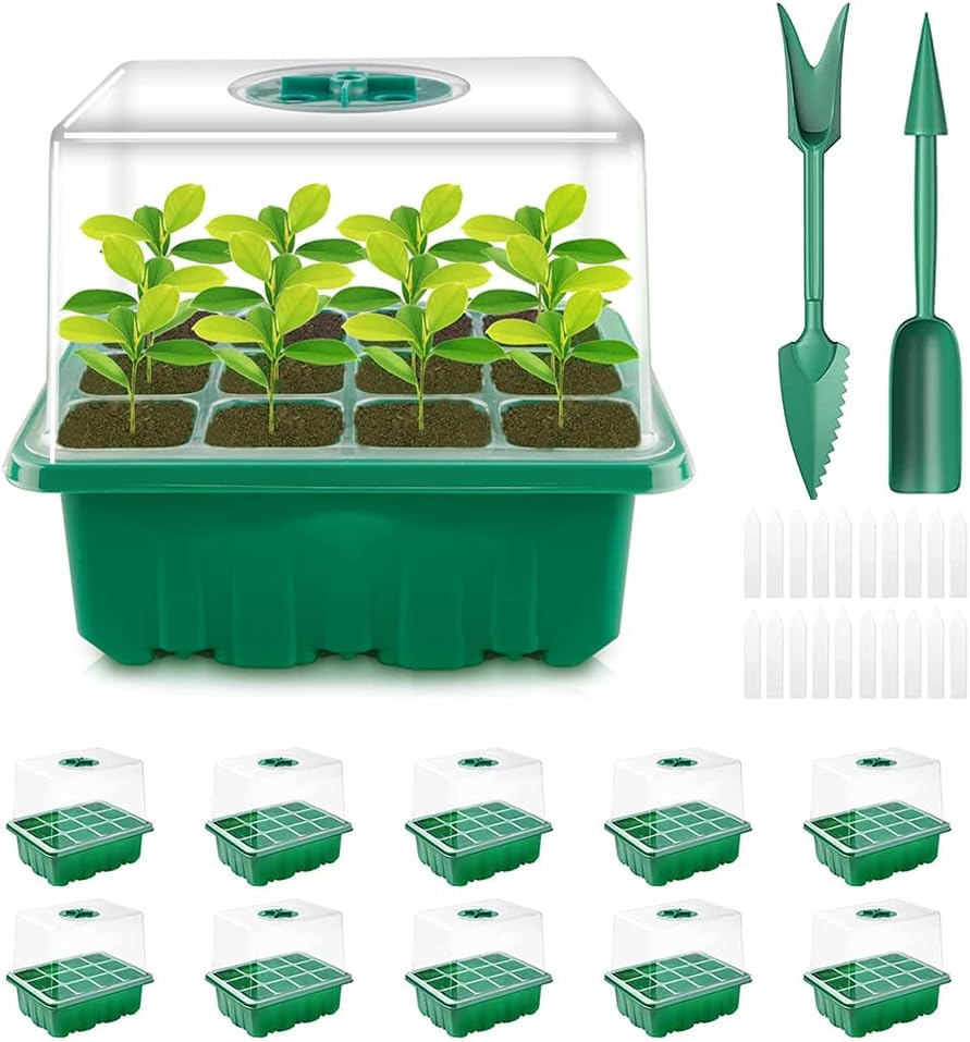 Pack of 10 120 Cell Indoor Greenhouse Propagator Mini Greenhouse for