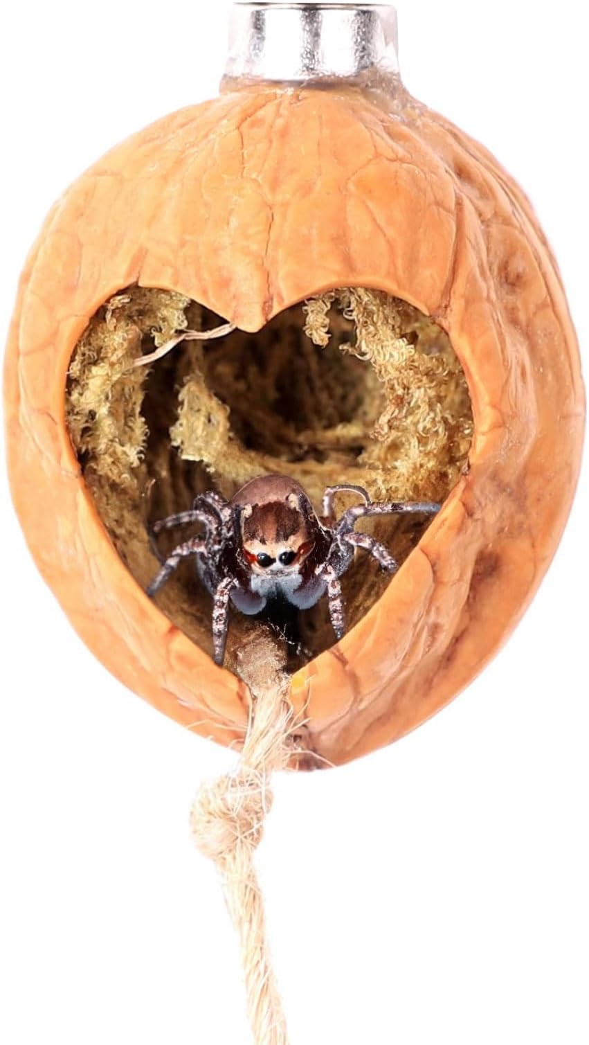 Jumping Spider Hide, A Real Shelter Made of Walnut Skin, Magnetic Hidden Jumping Spider Habitat,Handmade Spider Enclosure Accessories, Jumping Spider Enclosure