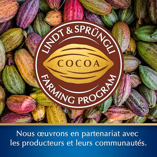 Tablette De Lait Les Grandes Noisettes Lindt La Tablette De - vue 8