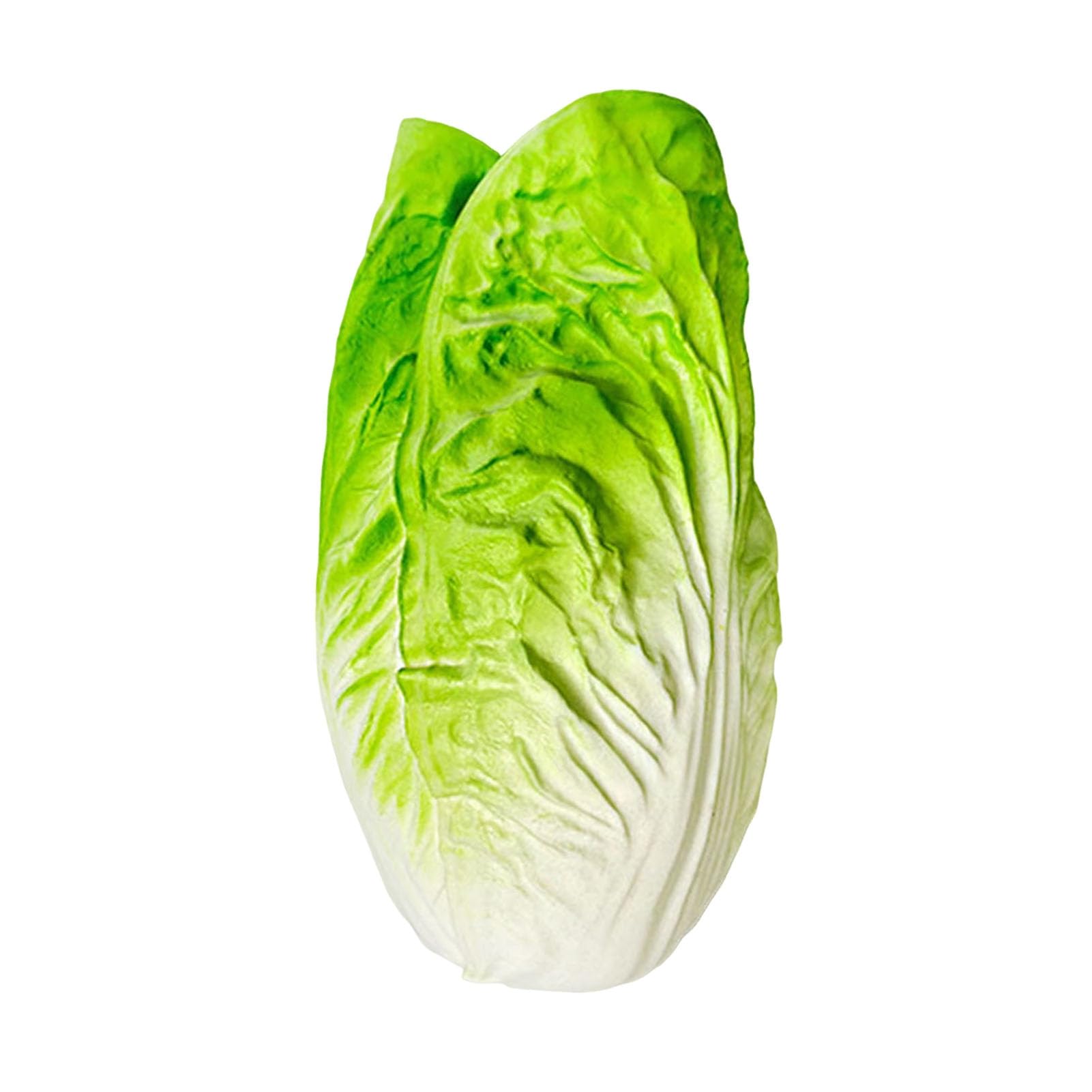 matumou Simulated Vegetables, Artificial Vegetables, PU Material Realistic Vegetables for Home Kitchen Decor Teaching Aid Display Models