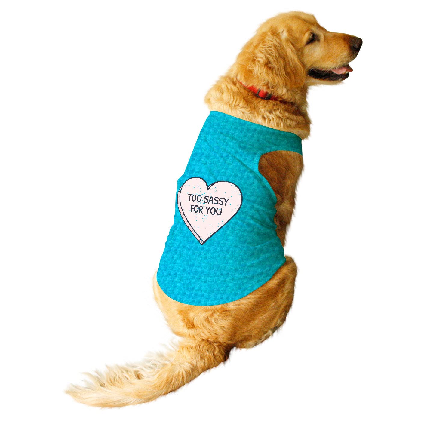 Ruse Pet Too Sassy Printed Dog Round Neck Sleeveless Vest Tank T-Shirt/Tees Apparel/Clothes/Tees Gift for Dogs/Steel Blue/XXL (Saint Bernard, Great Dane etc.) (B0BT1X183J) Amazon Price History, Amazon Price Tracker
