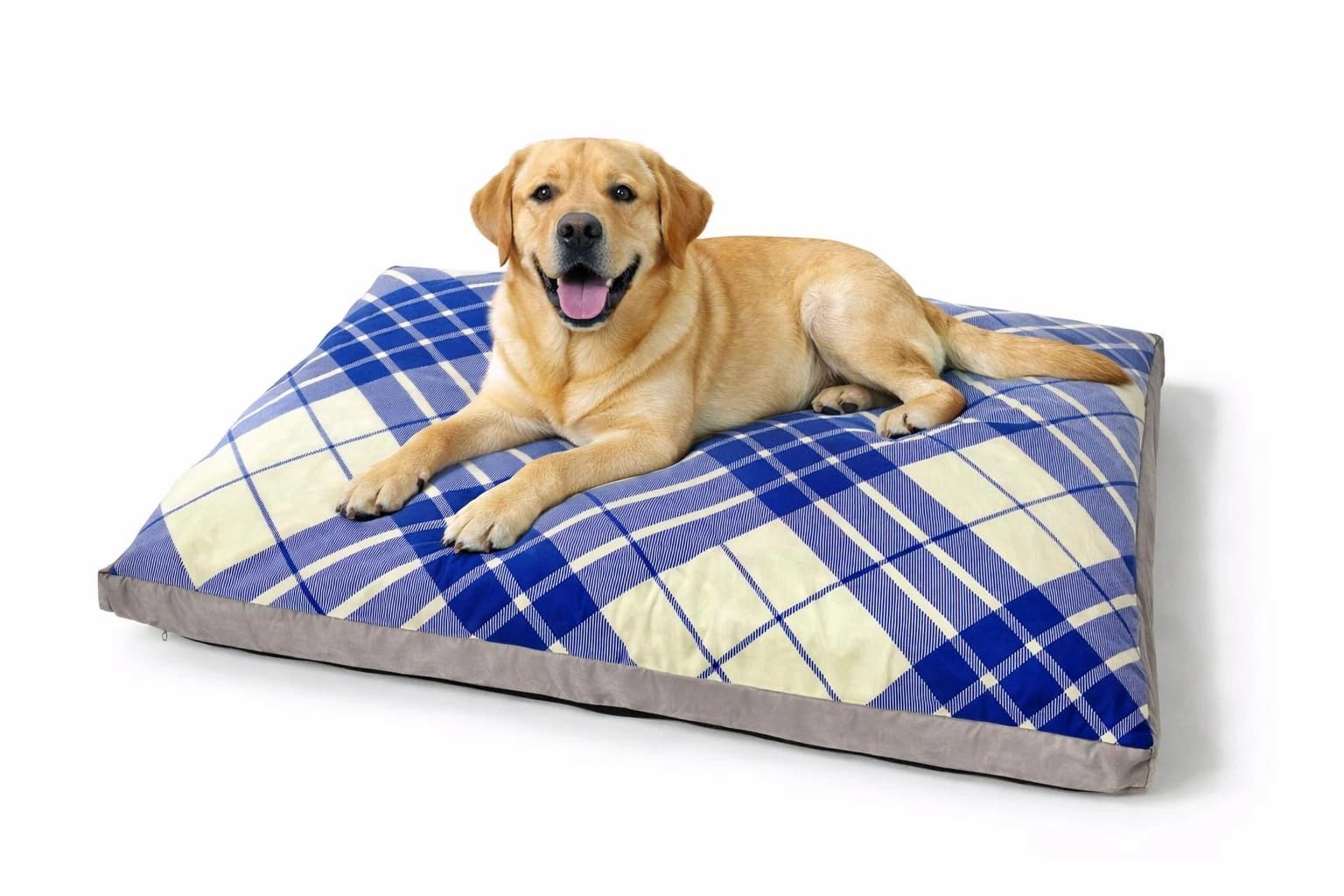 Hometex Box Dog Beds - Tartan (S, Blue)