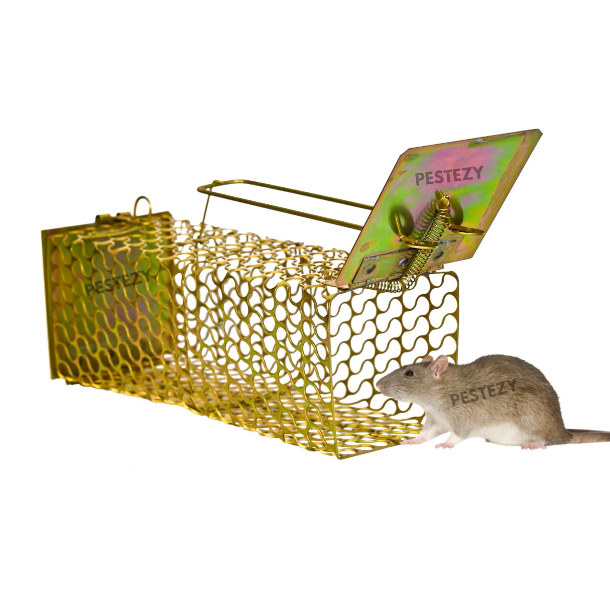 AYUNIX Mouse Trap CAGE/Rat Trap CAGE/Rat Houses/Mouse Catcher/Iron Rat Trap/Bait for Rats/Mouse Catcher/Rat Trap for Big Rats/CHUHA PAKADNE KA PINJARA 22 X 9 X 9CM (Small) (B0C9QZG18P) Amazon Price History, Amazon Price Tracker