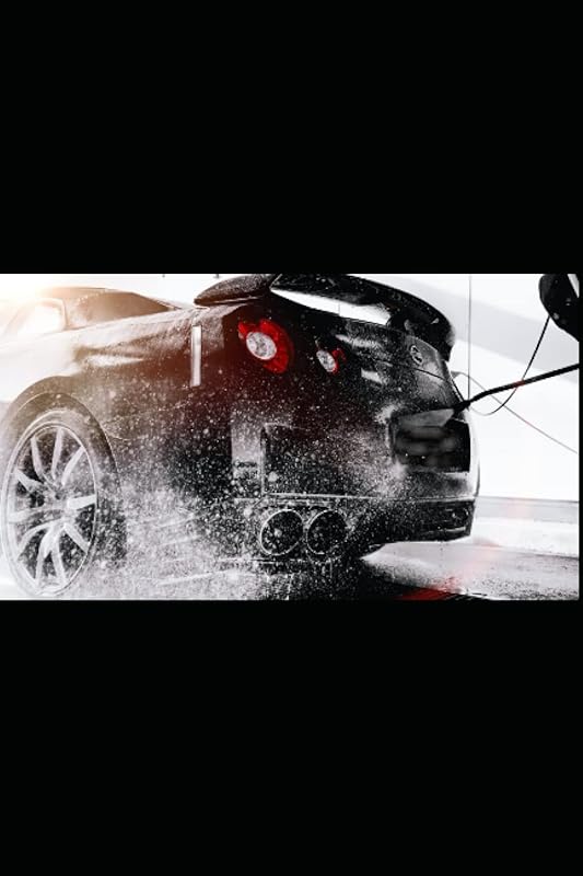 Detailing Passion: Car Esthetic