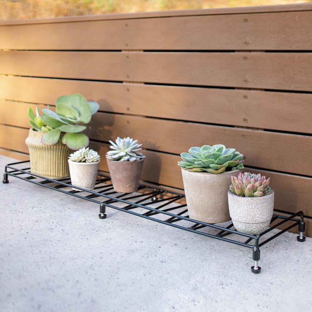 高品質 ムーンストーン お花 フラワー 強シラー スタンド付き 楽天市場