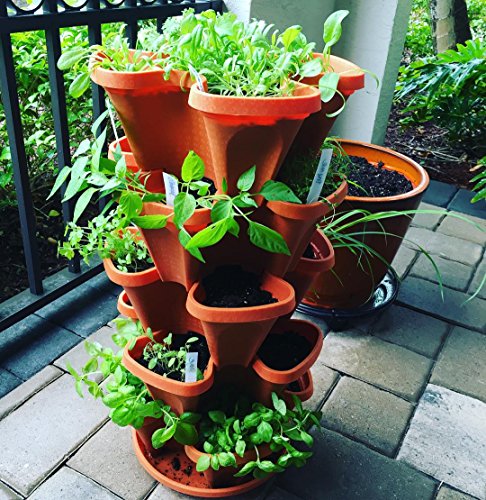 Jardin vertical intérieur/extérieur pour cultiver sans espace au sol - 4