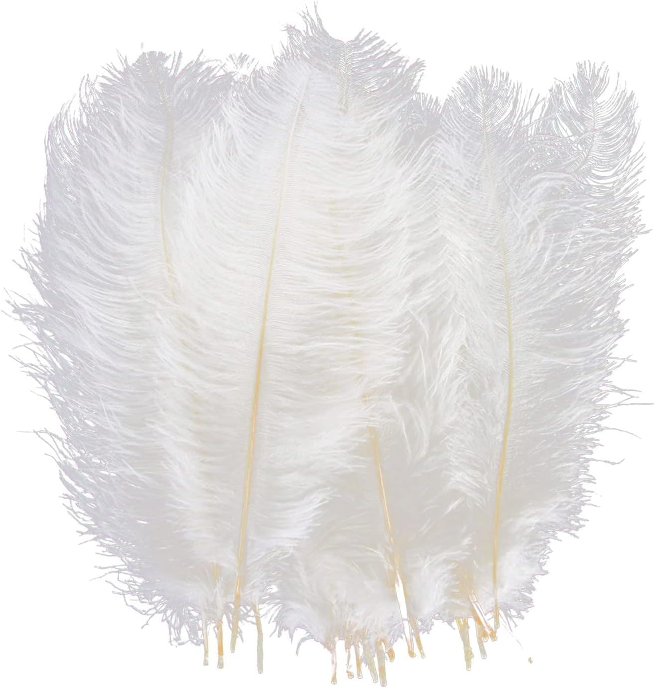 20pcs Natural Ostrich Feathers for Wedding Centerpieces Home Decoration (10-12 inch, White)