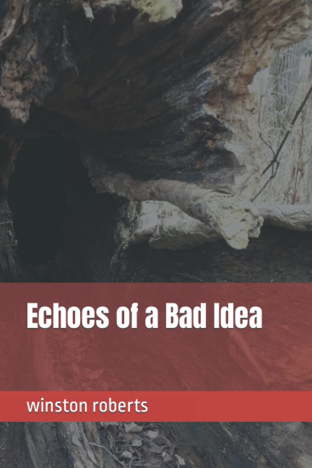 Echoes of a Bad Idea