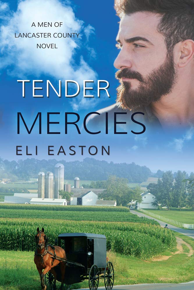 Buy Tender Mercies (Men of Lancaster County) — BookShops.in