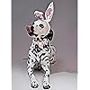 Product Photo 5