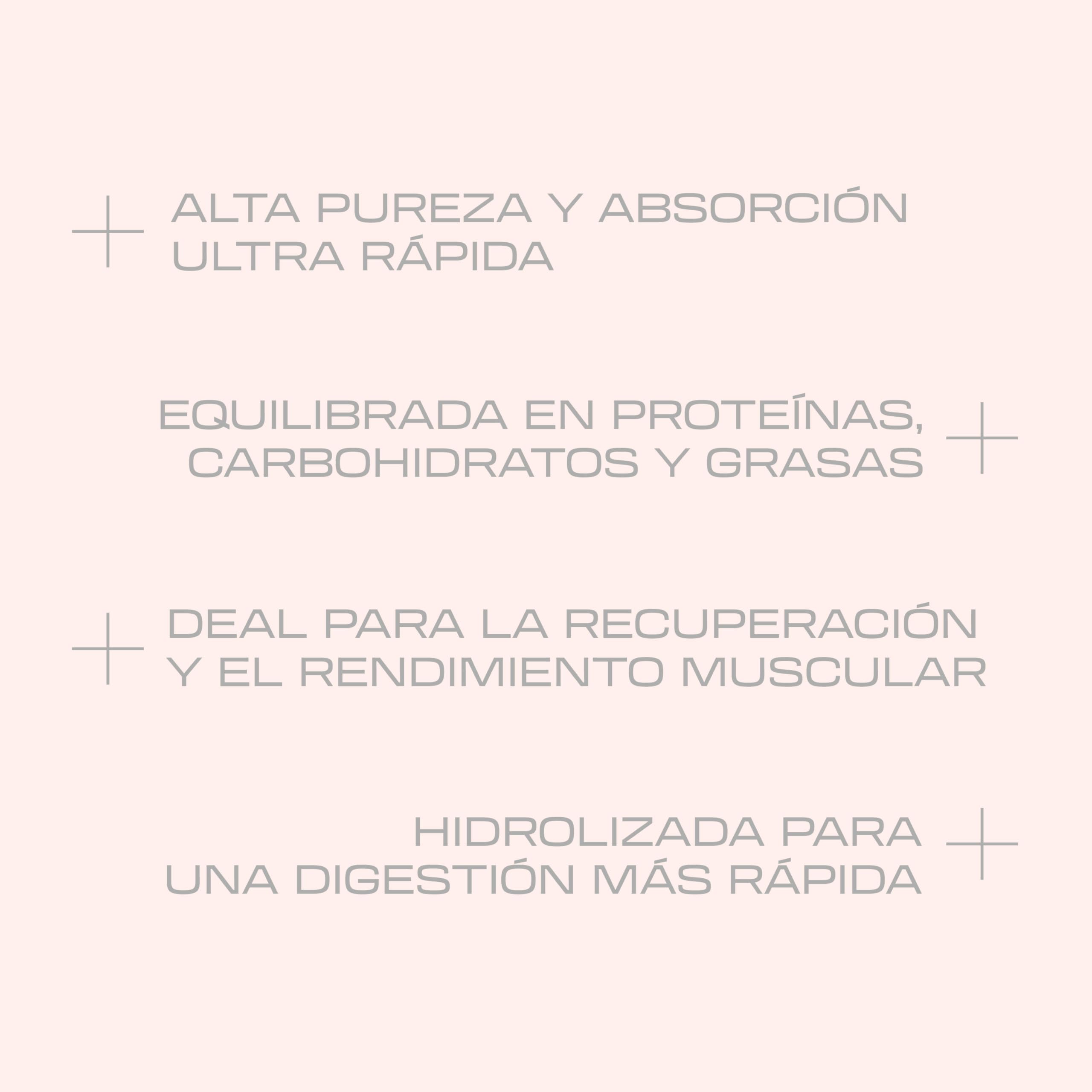 Beverly HYDRO PROTEIN – Proteína Hidrolizada de Suero con DigeZyme® y Tolerase® | 29 g Proteína por Ración | 1 kg (28 Servicios) | Alta Digestibilidad (Chocolate avellana)