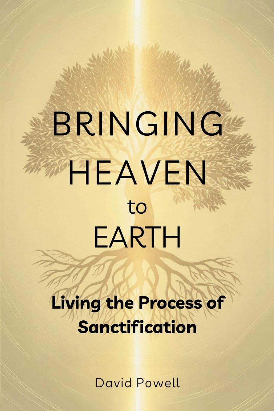 Bringing Heaven to Earth: Living the Process of Sanctification (Christian Living and Spiritual Growth)