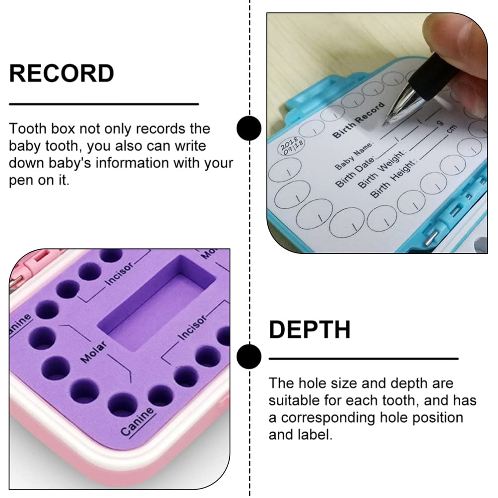 Toddmomy Boîte à Dents Pour Bébés Boîte De Rangement Personnalisée Avec Étiquettes Pour Identification Facile Et Préservation Sécurisée Des Dents De Lait