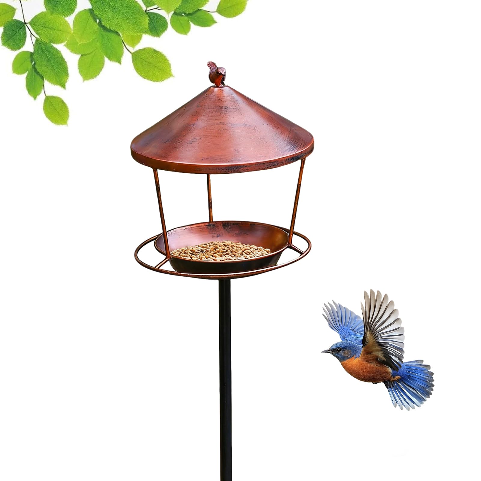 pour oiseaux Douche vintage pour bassin à eau