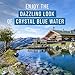 Maplefield 6X Concentrated Blue Pond & Lake Dye - Long-Lasting Color Treats 1.5 Acres per Gallon Pond Dye Concentrate - Fish-Friendly, Easy-Apply Water Feature Color - 32 Fl Oz, Pack of 1