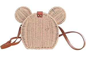 Kawaii PANDA Rattan Straw Disney Coach Purse