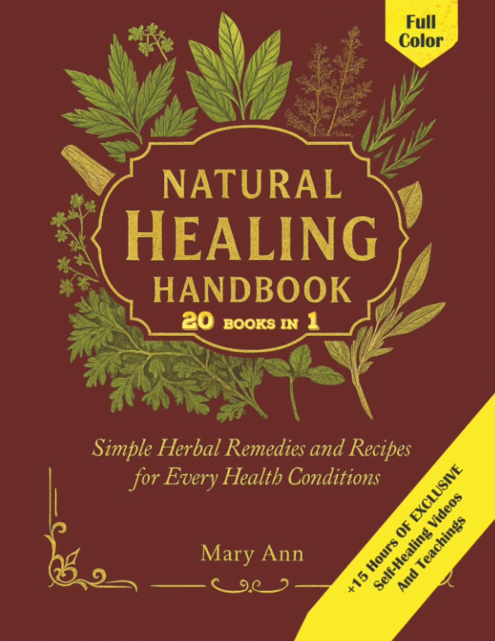 Cover image of Natural Healing Handbook by Mary Ann
