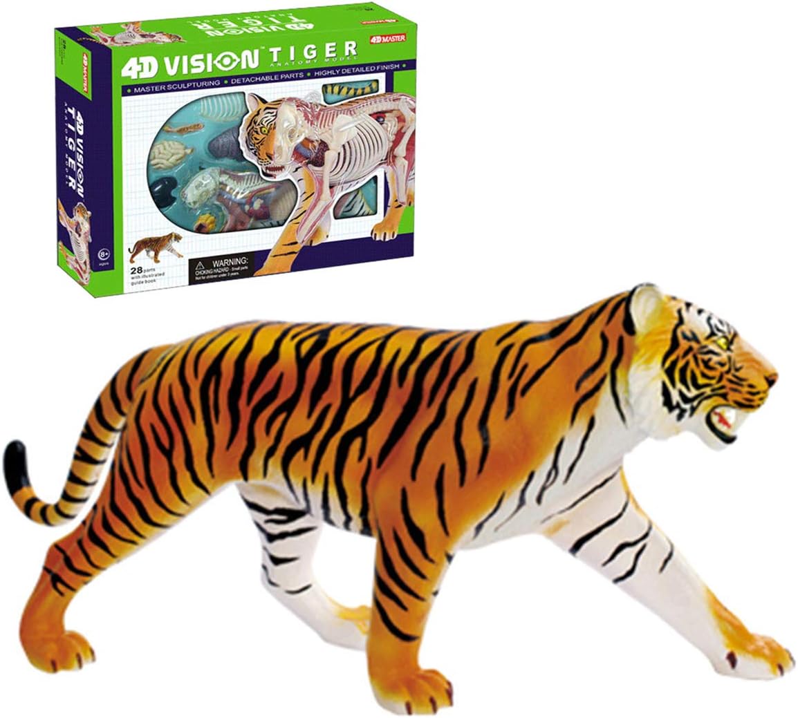 HARTI Anatomy Model, 4D Puzzle Assembly Animal Anatomy Education Model Tiger Organ Anatomy Detachable 28 Parts Organ and Body Parts Educational Puzzle Assembly Toys for Kids