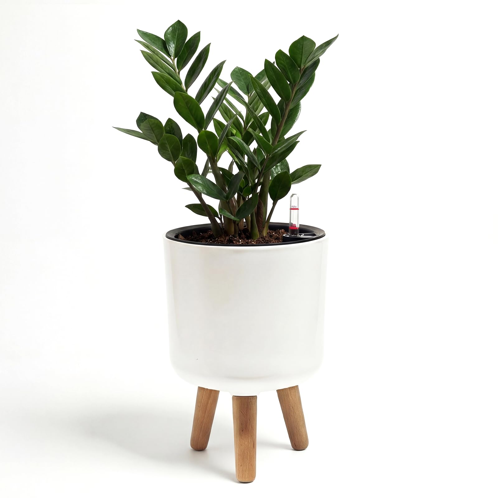 Pots de fleurs à arrosage automatique 19,8 cm pour ne plus oublier l'arrosage