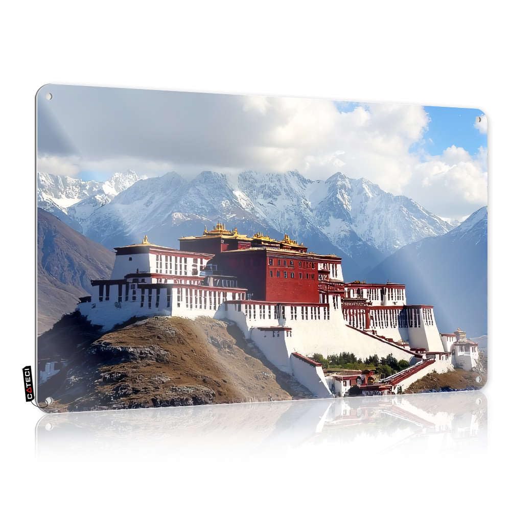 Wall Sarcastic Plaque - A Grand Palace Perched On A Hill With Snow-capped Mountains In The Background. Rustic Wall Art Gift For Doctor Easy Hang For Yard(30X40CM)