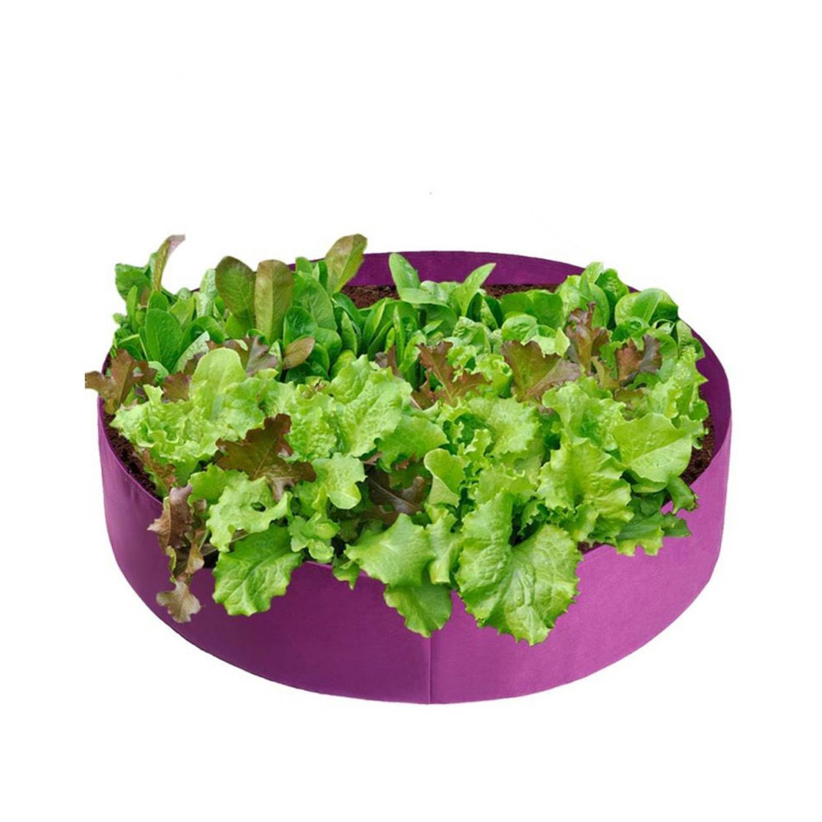 TOP-MAX 10 Gallon Fabric Grow Bag, Round Planter Container Non Woven Planting Bags for Garden Potato Carrot Vegetables Farming [Purple]