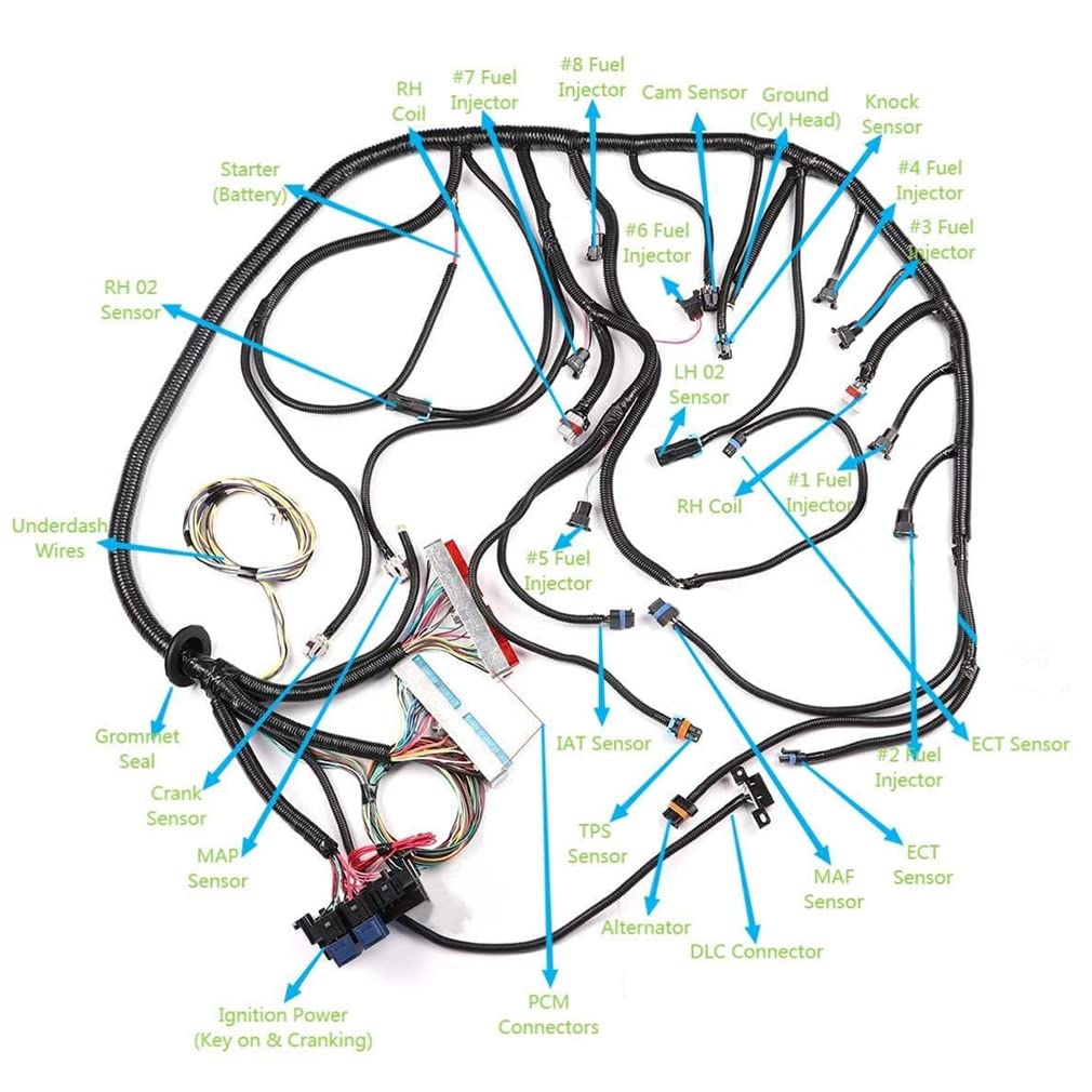 Arnés De Cableado De Gearwell, Arnés De Control De Motor T56 Para DBC