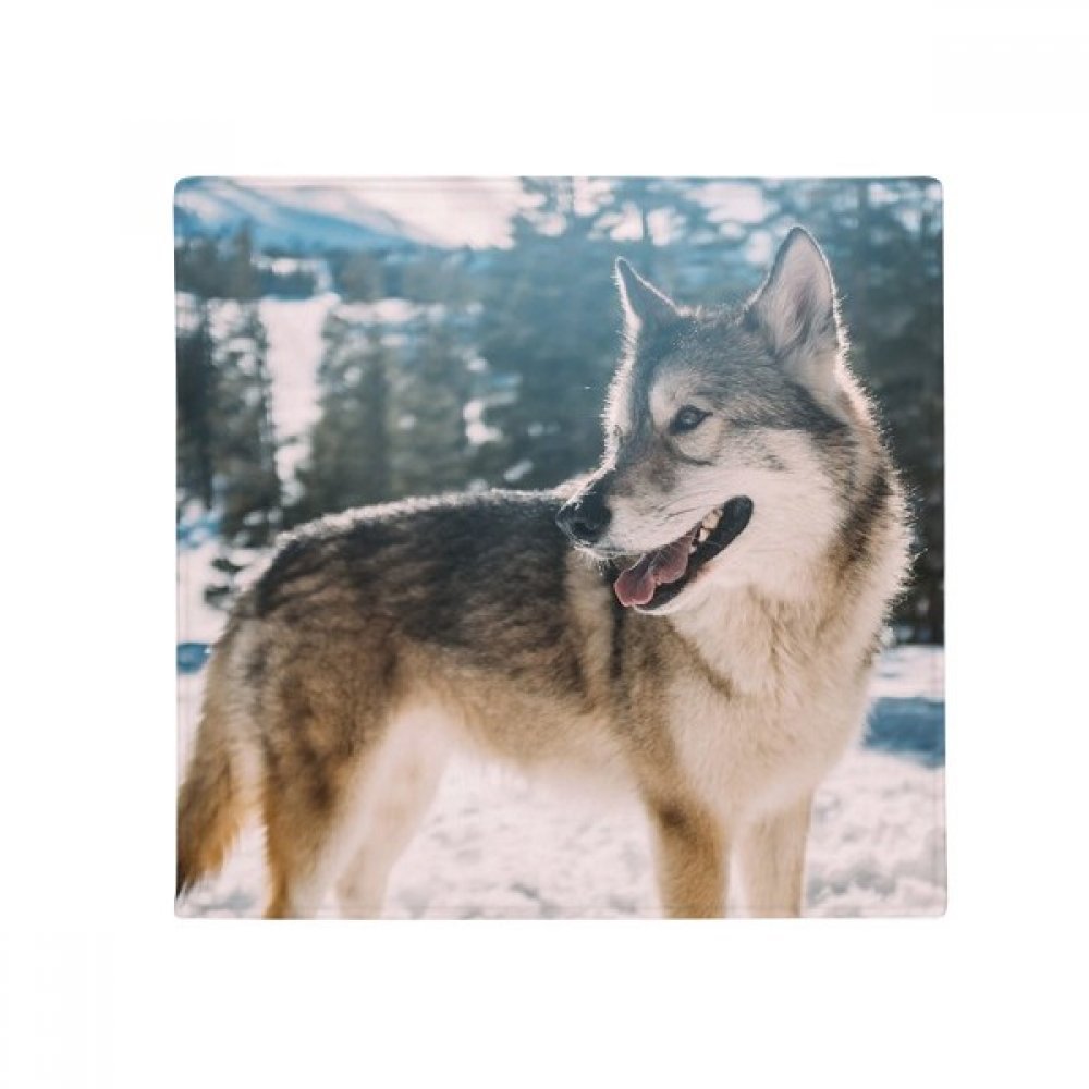 Tapis de sol chien blanc sourire cadeau idéal 60x60cm pour salon et entrée