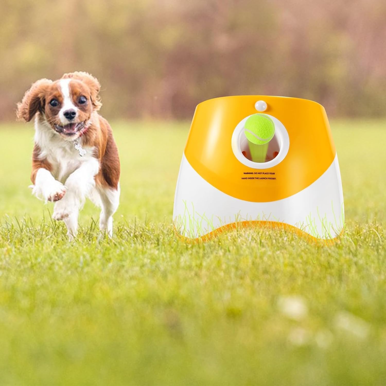 Lanceur De Balle For Chiens, Lanceur Automatique De Balle For Chien Avec 9 Balles De Tennis, Jouets Interactifs For Chiens, Balle For Animaux De Compagnie, Machine De Lancement Intérieure Et Extérieur