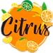 Citrus Cube Blast: Fruit Collecting Game