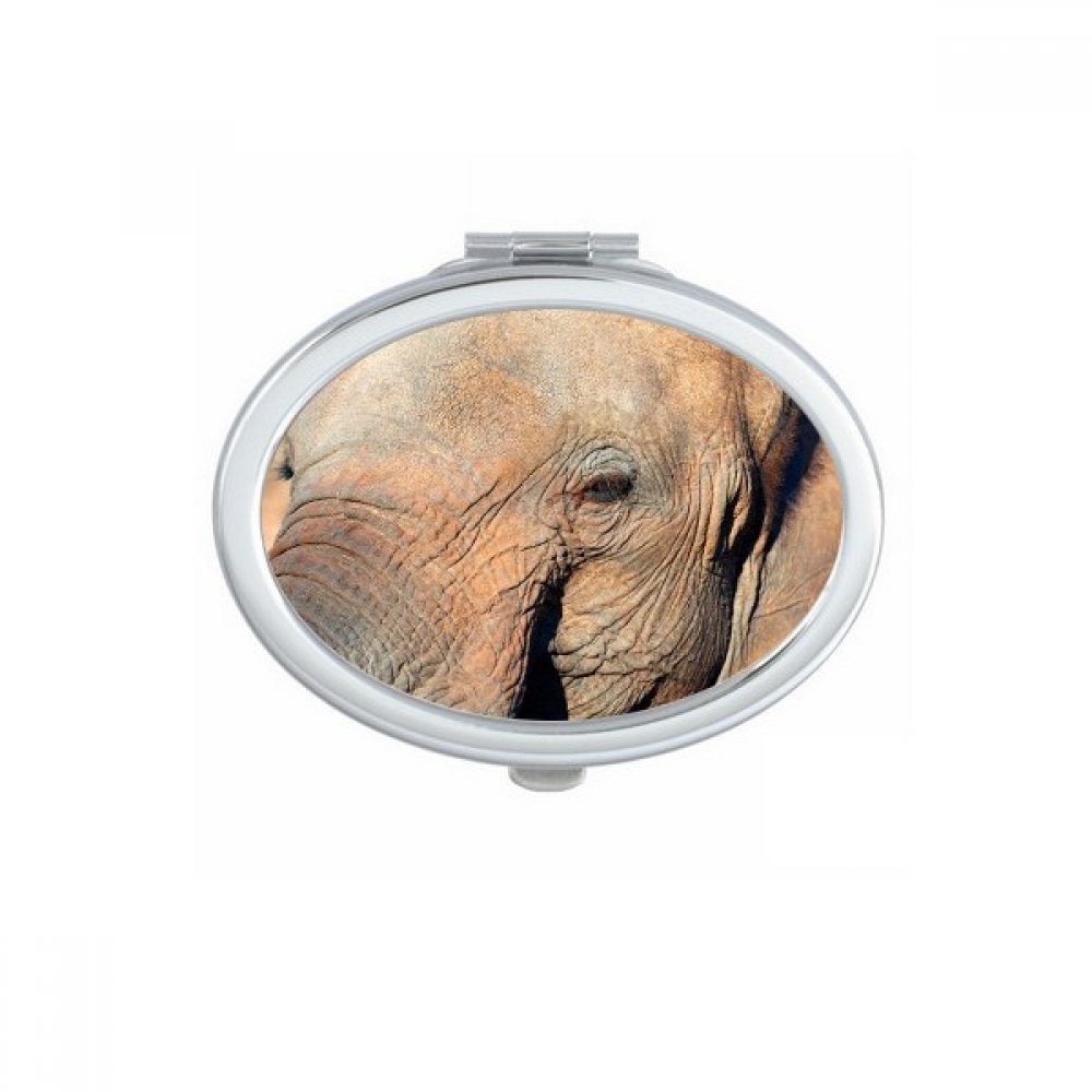 Miroir de poche animal sauvage léopard, le cadeau fait main idéal