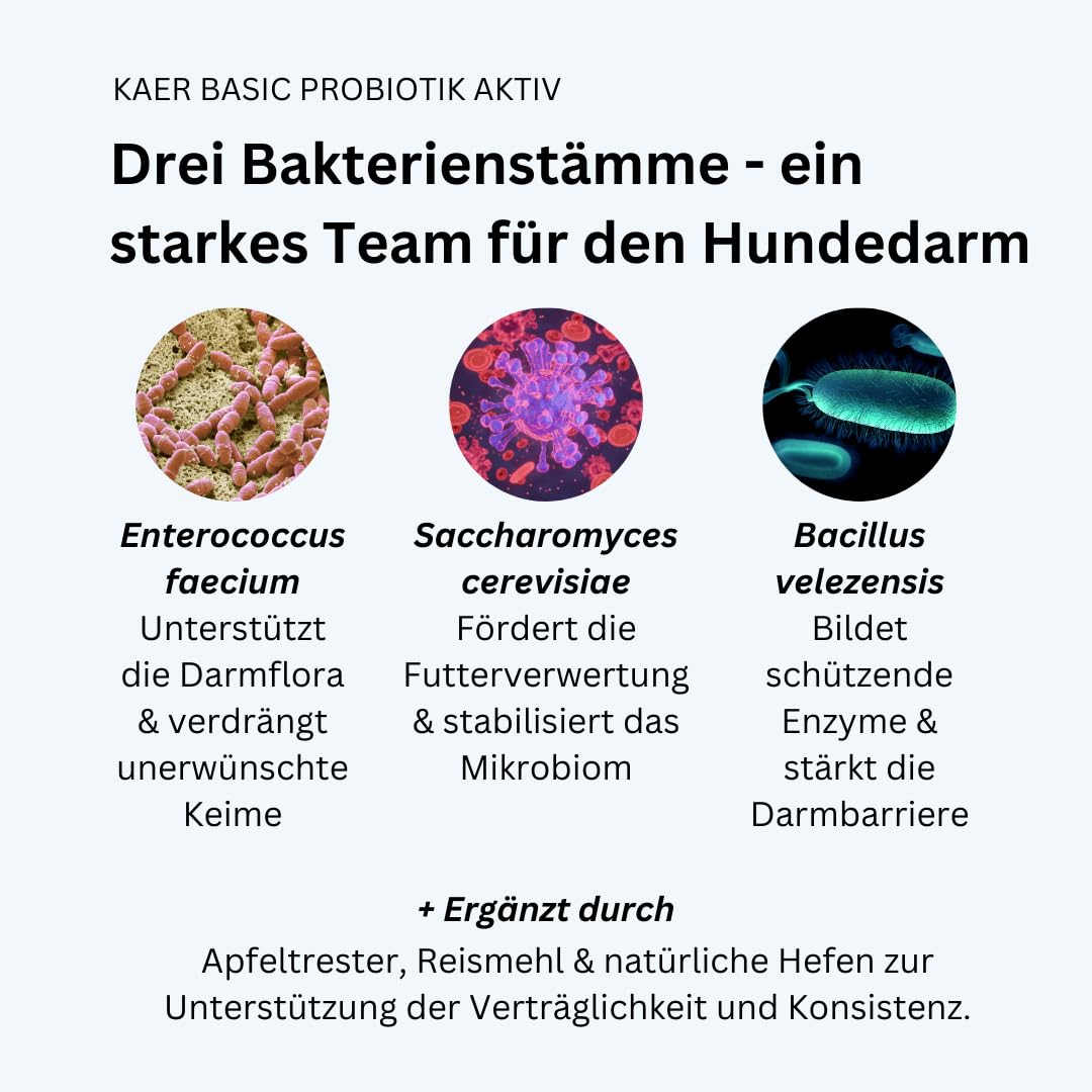 Probiotyk Aktywne krople dla psów, probiotyki do uzupełniania karmy, do budowy flory jelitowej, bakterii jelitowych, suplement do regeneracji jelit, kuracja jelit – 180 kropli