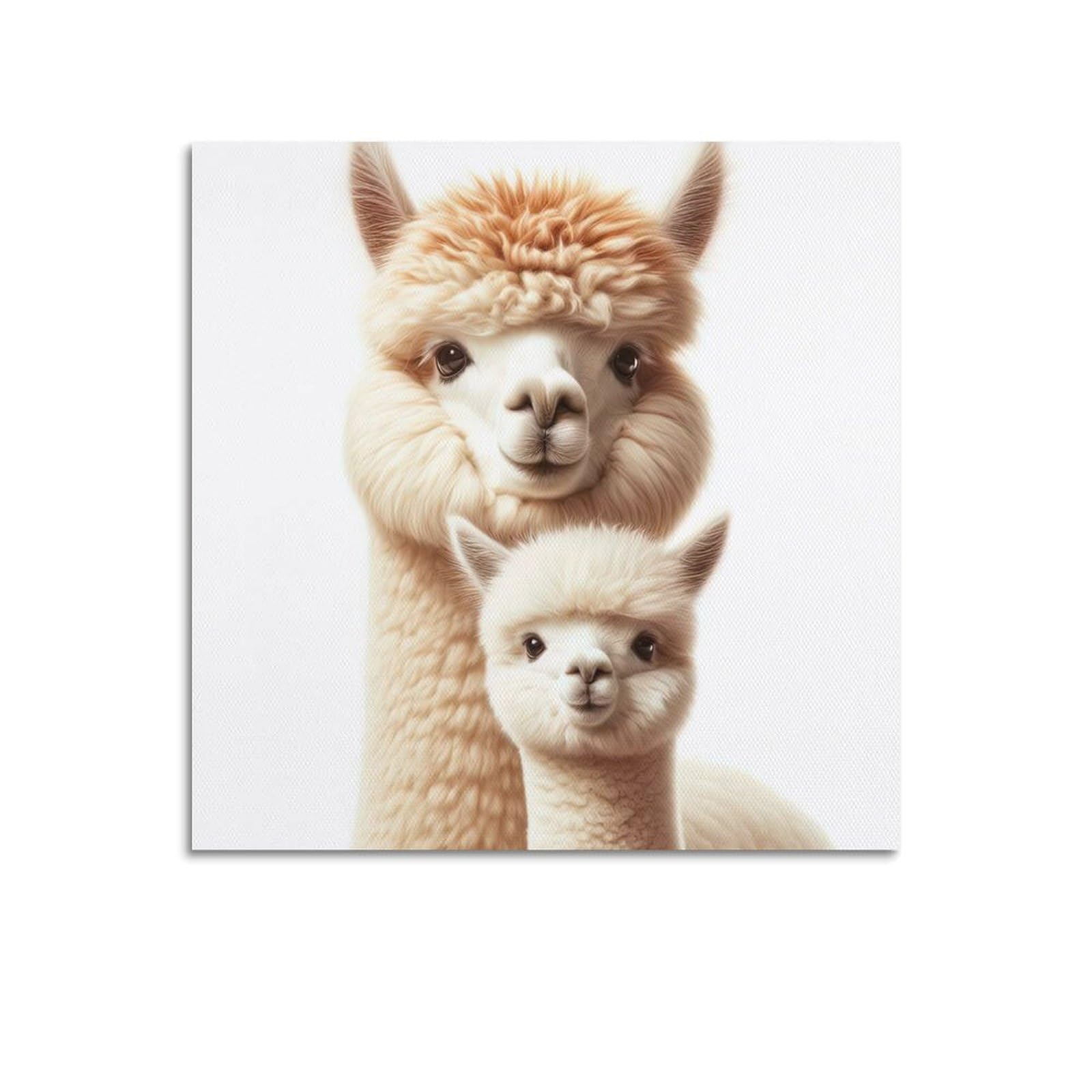 WZKTCL Animal Poster Huacaya Alpaca Poster Decorative Painting Canvas Wall Posters And Art Picture Print Modern Family Bedroom Decor Posters 16x16inch(40x40cm)