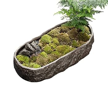 Amazon.co.jp: 金魚鉢 金魚 メダカ 鉢 メダカ鉢 睡蓮鉢 水耕