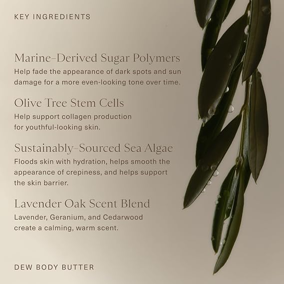 Oak Essentials Dew Body Butter, 5.3 Oz | Whipped Shea Butter, Olive Tree Stem Cells and Sea Algae, Hydrating Body Moisturizer, For Dry Skin, Crepiness, Firming