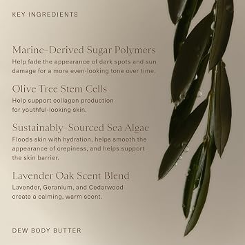 Oak Essentials Dew Body Butter, 5.3 Oz | Whipped Shea Butter, Olive Tree Stem Cells and Sea Algae, Hydrating Body Moisturizer, For Dry Skin, Crepiness, Firming