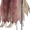 Product Photo 7