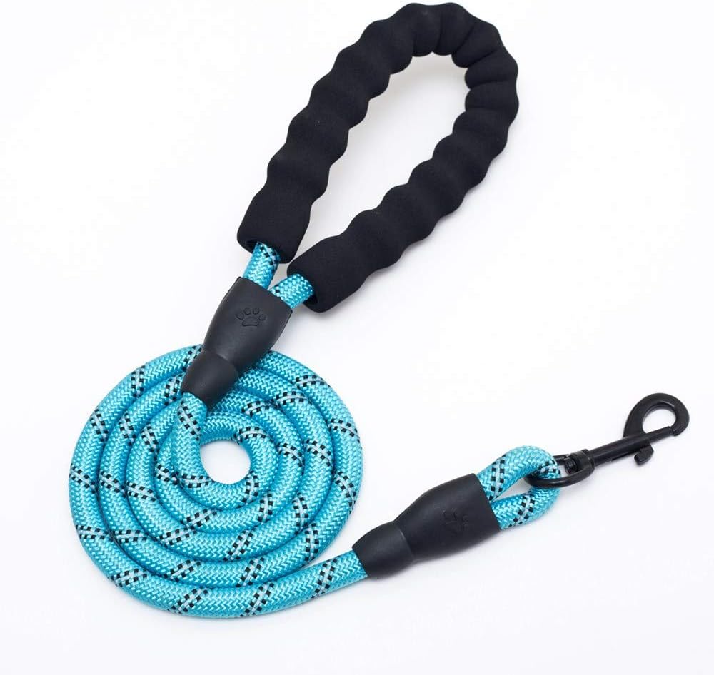 QIQI 5 FT Strong Heavy Duty Dog Leash with Comfortable Padded Handle and Highly Reflective Threads Nylon Dog Leashes for Medium and…