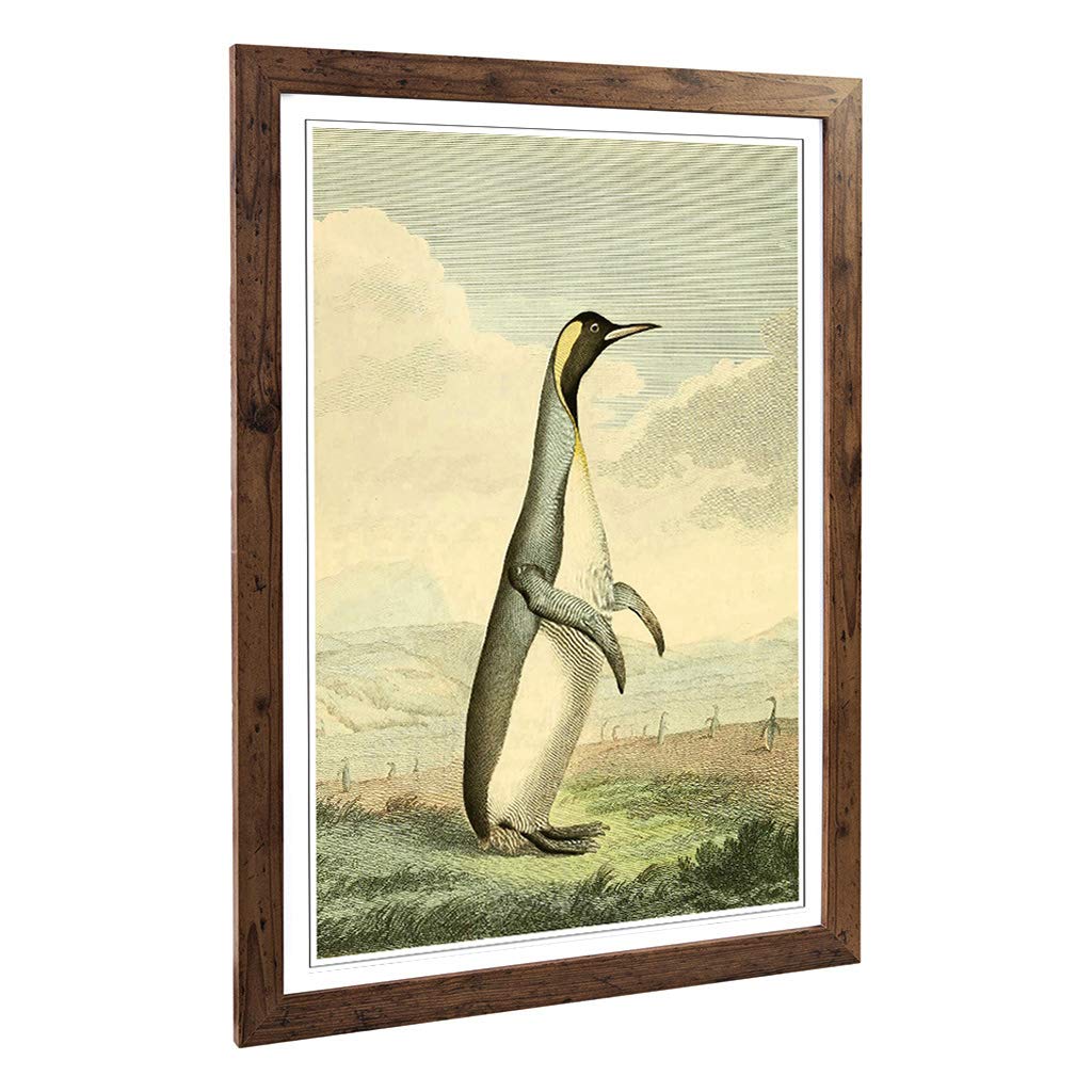 Big Box Art Framed Print of Vintage Charles R Ryley Penguin Design | Wall Art Picture | Home Decor for Kitchen, Living Room, Bedroom, Hallway, Walnut, A2 / 24.5x18 Inch / 62x45cm